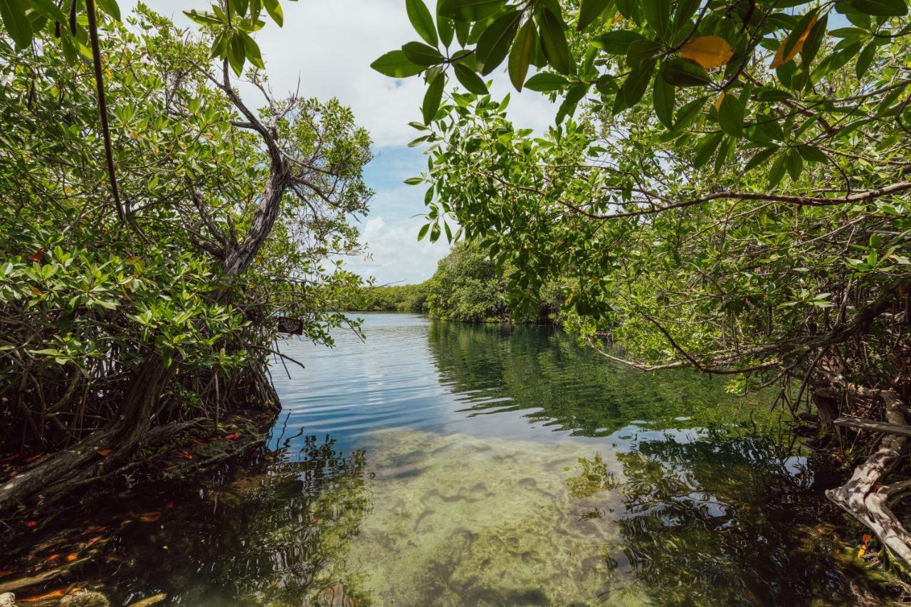 Yaxchen Tulum Cabanas & Cenote Bagian luar foto