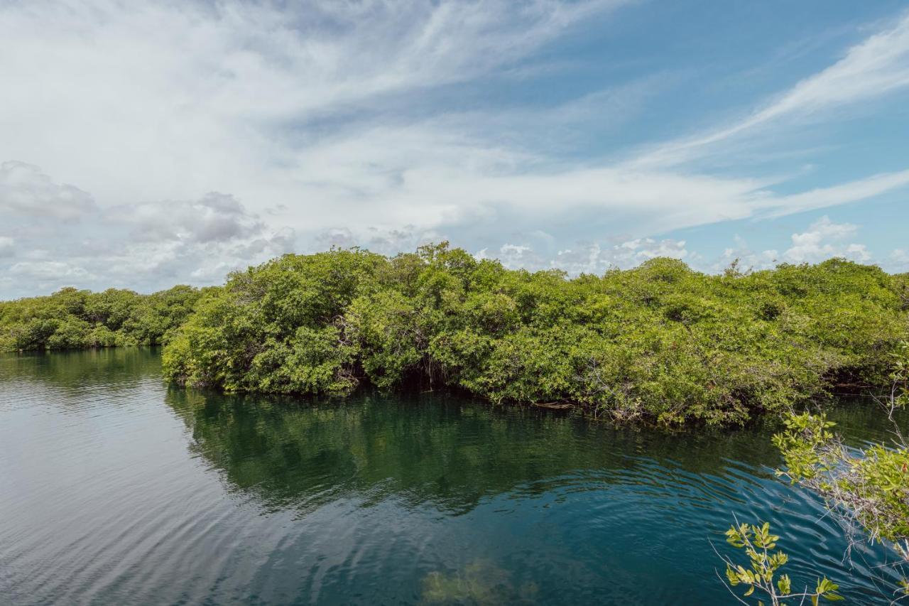 Yaxchen Tulum Cabanas & Cenote Bagian luar foto