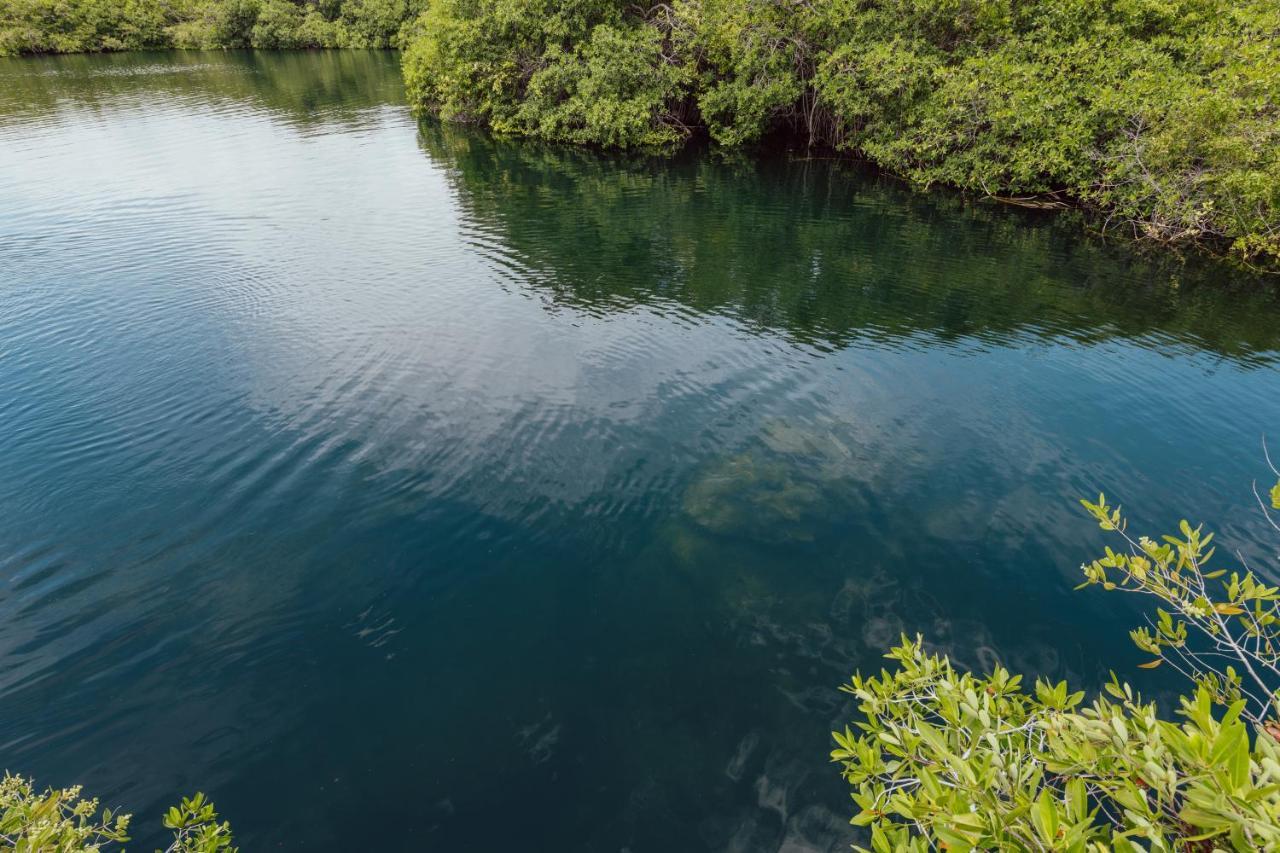 Yaxchen Tulum Cabanas & Cenote Bagian luar foto