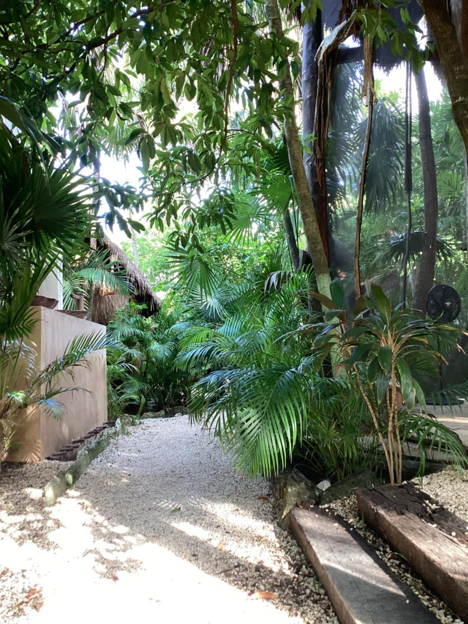 Yaxchen Tulum Cabanas & Cenote Bagian luar foto